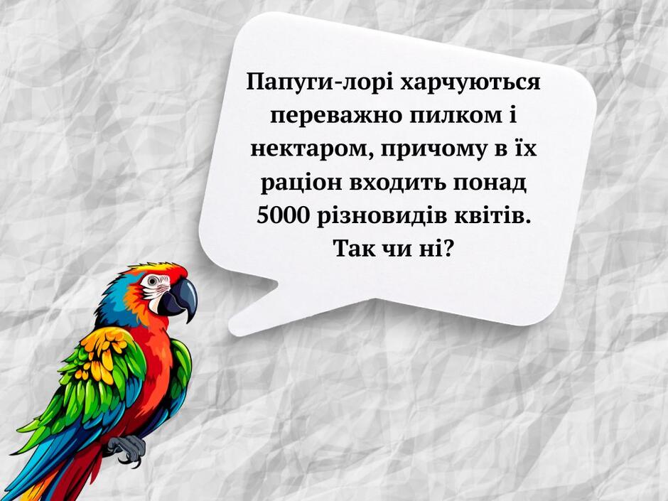 0800kqr6-f55d-940x705.jpg