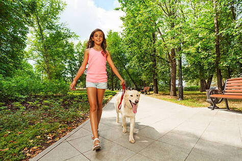 3,100+ Girl Walking Dog Stock Photos, Pictures & Royalty-Free Images - iStock | Girl walking dog illustration, Girl walking dog silhouette, Blonde girl walking dog