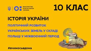 Політичне життя на українських землях у складі Польщі