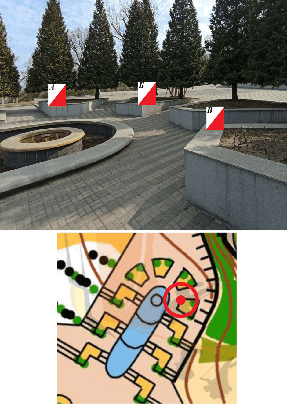 0800l086-8195-940x1330.png