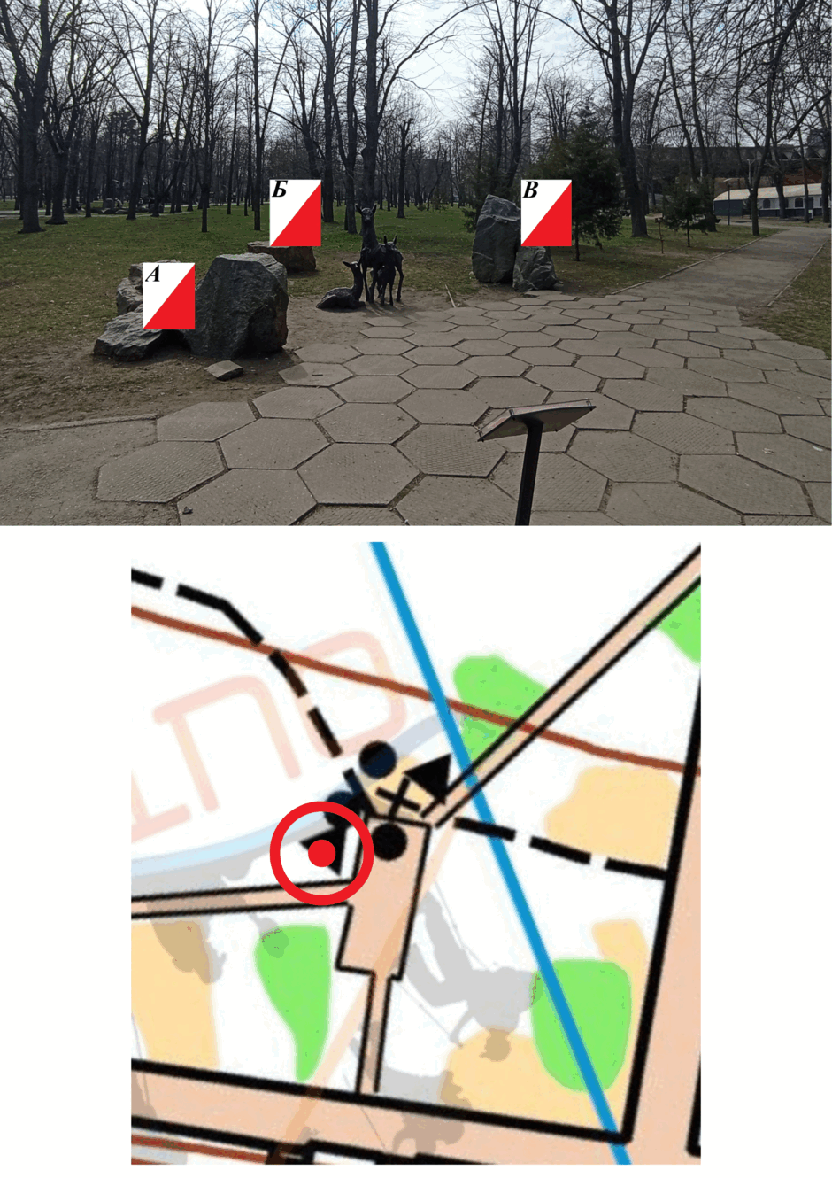 0800l09q-6503-940x1330.png
