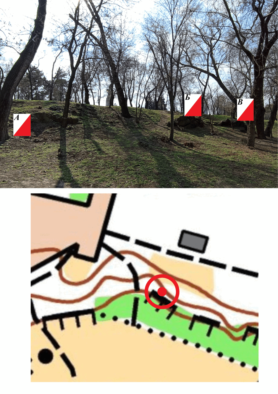 0800l0ec-d2ff-940x1330.png