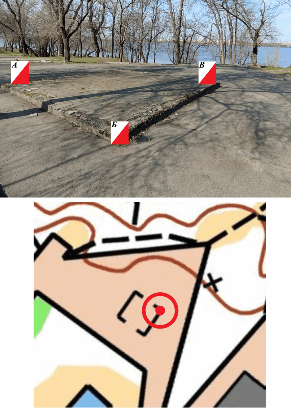 0800l0em-c593-940x1330.png