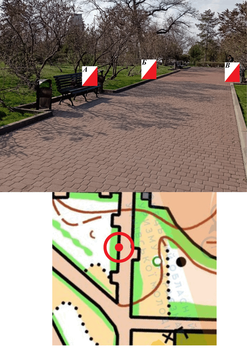 0800l0ey-7826-940x1330.png