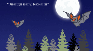 Дидактична гра "“Знайди пару. Кажани”"