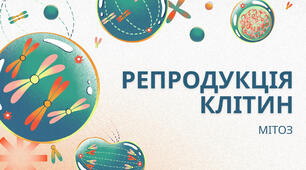 Презентація "Репродукція клітин"