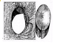 0800l5d9-32ce-186x145.png