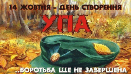 0800l86t-fb0c-432x245.png