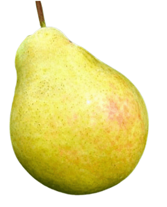 0800legk-0d4c-339x418.png