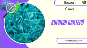 Корисні бактерії. 7 клас. НУШ