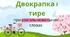 Двокрапка і тире при узагальнювальних словах