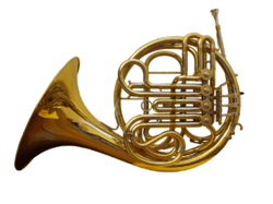 0800lksn-6416-250x187.png