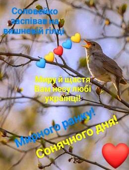 0800lltv-c03e-260x341.jpg