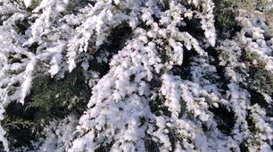 Поради щодо дій при сильному вітрі 