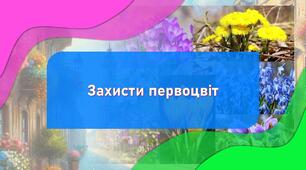 Презентація Захисти первоцвіт