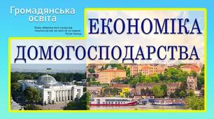 Практичне заняття.Як будувати економіку домогосподарства. Як започаткувати власну справу.