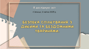 Презентація "Безпека спілкування з дикими та бездомними тваринами. "