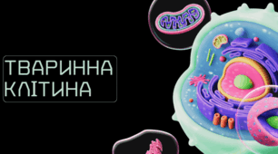 Презентація для учнів 9 класу з теми "Тваринна клітина"