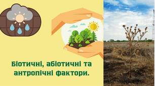 Абіотичні, біотичні та антропогенні фактори