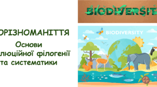 Презентація на тему "Біорізноманіття. Основи еволюційної філогенії та систематики" 9 клас