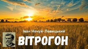 Гра "Правда - неправда" за твором "Вітрогон" І. Нечуя-Левицького 5 клас НУШ