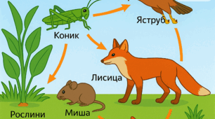  Екосистема. Різноманітність екосистем. Харчові зв’язки, потоки енергії та колообіг речовин в екосистемах.