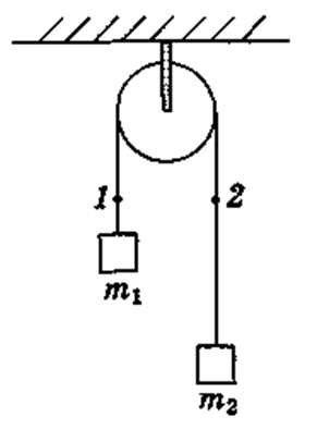 0800m90y-0297-291x394.png