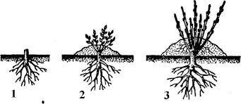 0800m9ml-81df-341x148.jpg