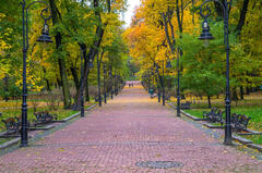 0800maeb-2347-240x159.jpg