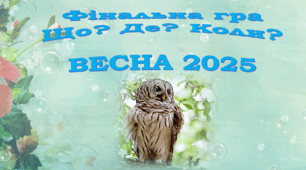 Презентація інтелектуальної гри ЩО?ДЕ?КОЛИ? весняна серія
