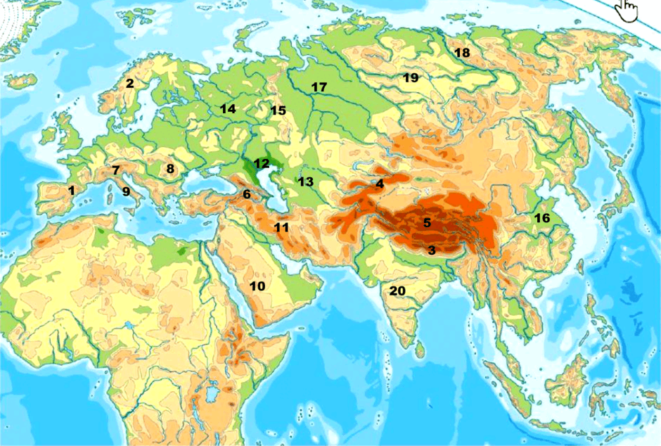 0800mdms-64a1-940x634.png