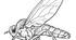 Практична робота. №33 "Виявлення прикладів пристосувань до способу життя у шестиногих " Біологія 7 клас, модельна програма "Біологія" (Соболь В.І.)