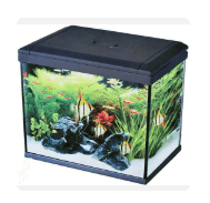 0800me5v-6c80-189x183.png
