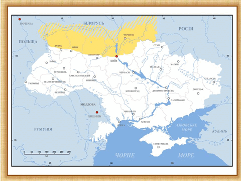 0800mesj-269a-480x360.png