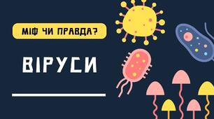 Міф чи правда: ВІРУСИ