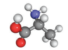 0800mfld-908d-229x170.png