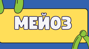 Презентація для учнів 9 класу з теми "Мейоз"