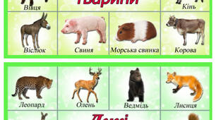 Свійські та дикі тварини