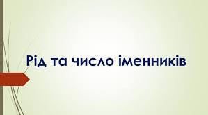 Самостійна робота. Іменник( рід, число, синтаксична роль)
