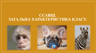 Презентація "Ссавці. Загальна характеристика класу. НУШ".