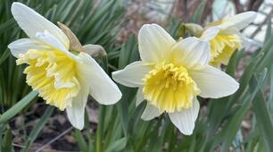 Easter – Multiple Choice Quiz