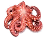0800mnu0-86aa-197x162.png