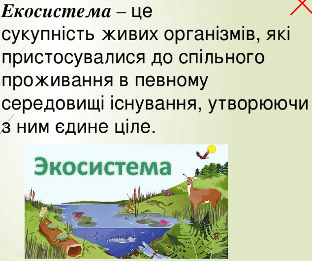 0800mot2-da73-634x529.png