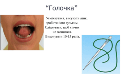0800ms6v-9489-395x248.png