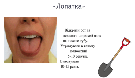 0800msha-5f09-441x255.png