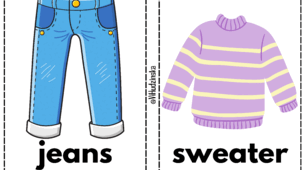 Flashcards Unit 7 "Get dressed" Quick Minds 1
