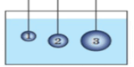 0800muyy-ed15-150x76.png