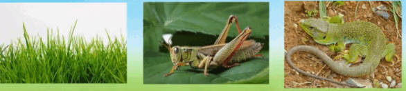 0800mz0y-adb9-586x132.png
