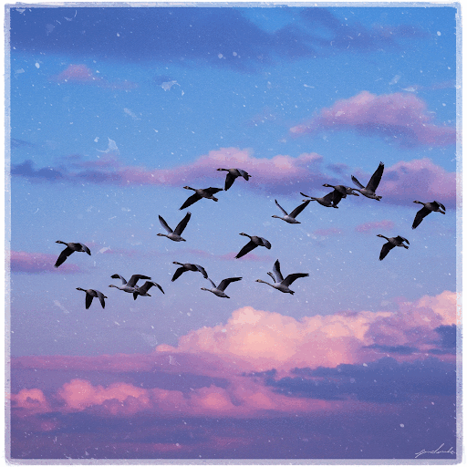 0800mznc-12dc-512x512.png
