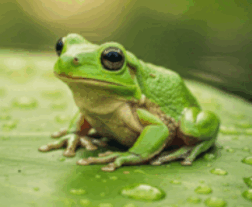0800n212-b8d7-252x207.png
